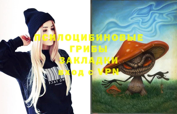 спиды Михайловск